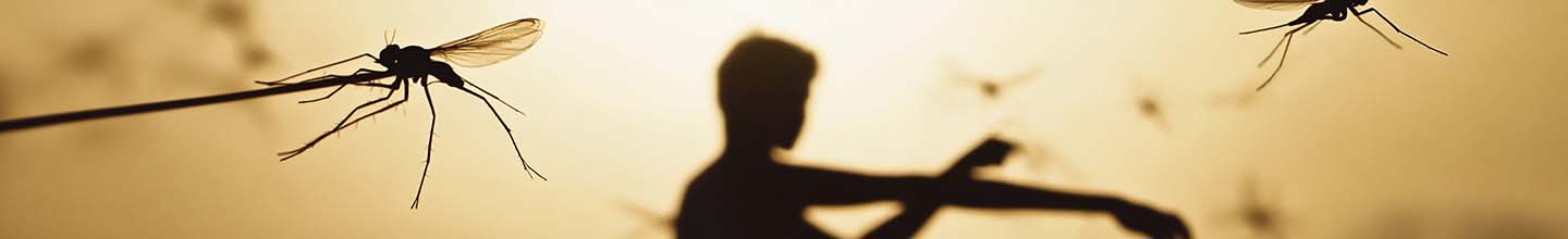 Comment d&eacute;gonfler piq&ucirc;re insecte ?