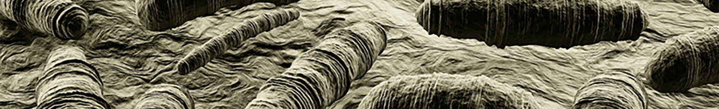 Comment restaurer la flore intestinale ?