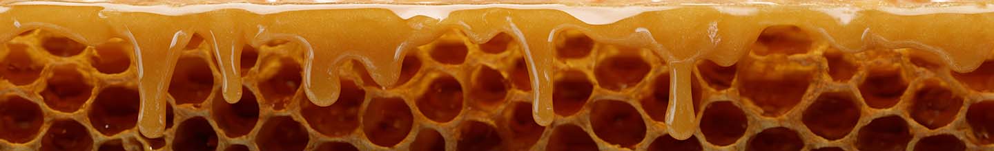 Quelle quantit&eacute; de propolis par jour ?