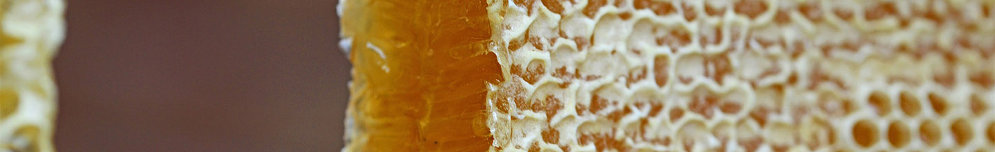 Dans quel cas utiliser de la propolis en spray ?