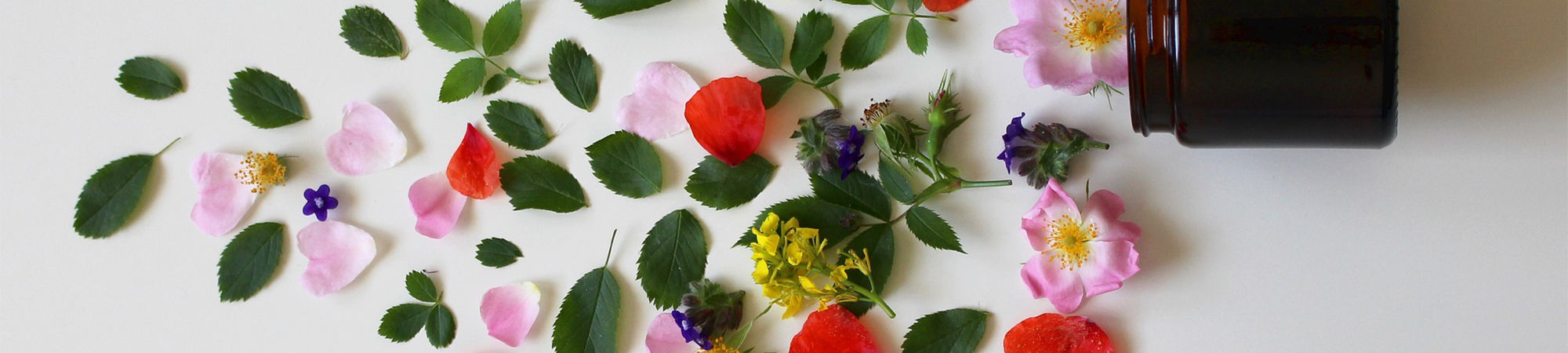 Quels sont les traitements de la py&eacute;lon&eacute;phrite ?